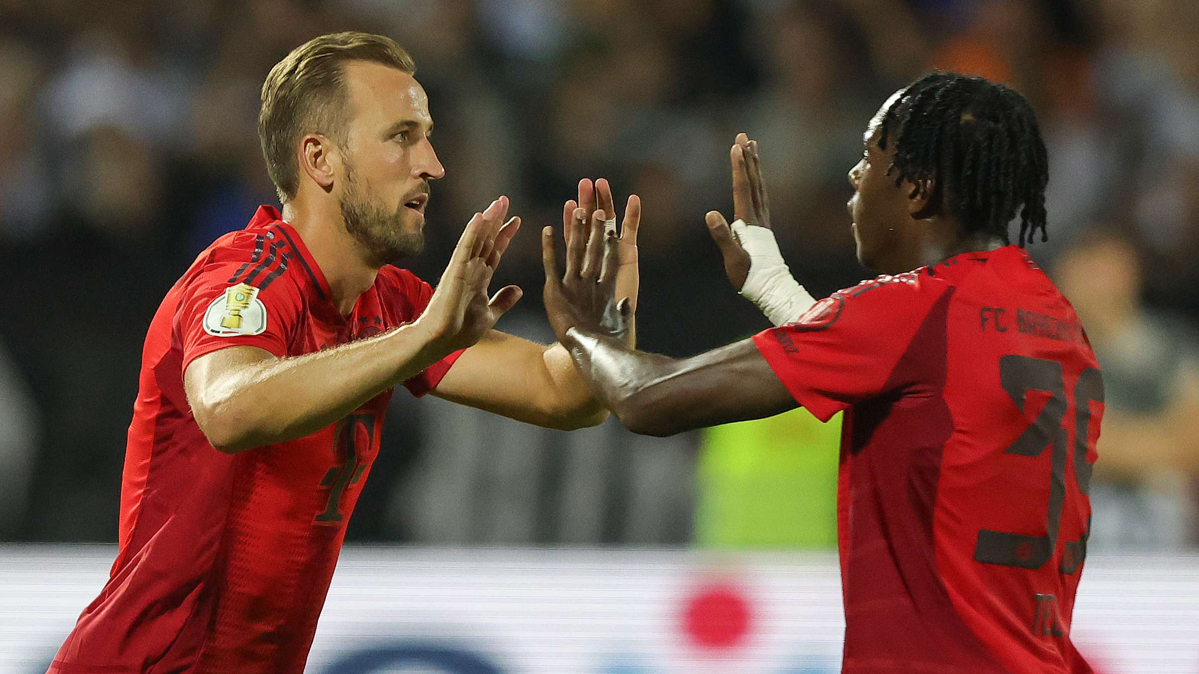 他凭借其精 他凭借其精