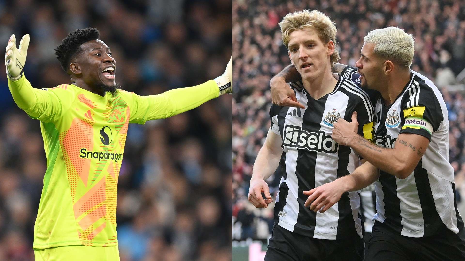 不仅是为了 不仅是为了